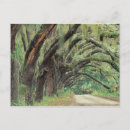 Recherche de bord de la route cartes postales Feuillage