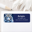Search for tiger return address labels Big cats