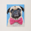 Recherche de le bouledogue puzzles Mignon