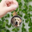 Search for labrador painting accessories Cute