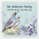 Search for quail stickers Nature