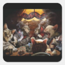 Search for cat playing stickers Funny