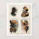 Recherche de compositeur cartes postales Portrait