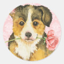 Search for valentine corgi stickers Puppy