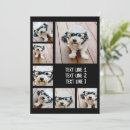 Search for 7 photo cards Chic