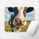 Search for cow mousepads Holstein