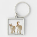 Search for studio shot keychains Togetherness