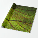 Search for macro gift wrap Texture