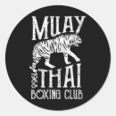 Search for full contact stickers Combat sparring session