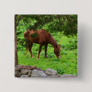 Search for horse buttons Country