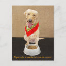 Search for teaching postcards Funny