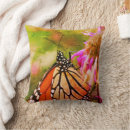 Search for monarch butterfly pillows Photography