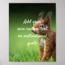 Recherche de écureuil rouge posters Nature