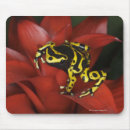 Search for band mousepads Outdoors