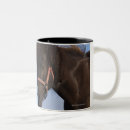 Search for this side up mugs Outdoors