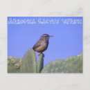 Search for wrens postcards Cactus