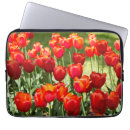 Recherche de conception fleurie coques Photographie