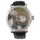 Search for animal watches Wildlife