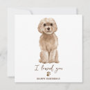 Search for cavapoo cards Puppy
