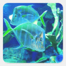Search for green fish stickers Aquatic