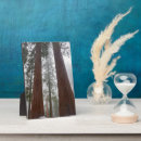 Recherche de arbre séquoia plaques Bois