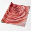 Search for orange blossom wrapping paper Background