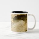 Search for vulpes vulpes mugs Baby