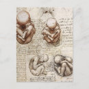 Recherche de foetus cartes postales Dessin