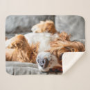 Recherche de cocker spaniel home decor Mignon