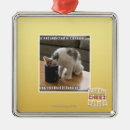 Search for addicted ornaments I can has cheezburger