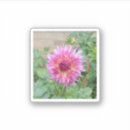 Search for pink dahlia stickers Flower