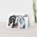 Search for white stallion cards Equestrian