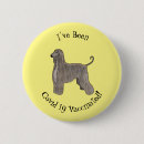 Recherche de hound badges Dog