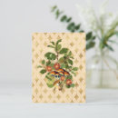 Recherche de fancy cartes postales Vintage