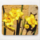 Search for jonquil mousepads Daffodil