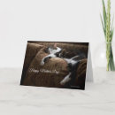 Search for cat mothers day cards Mom