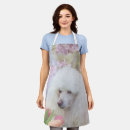 Recherche de trafic tabliers Chien