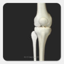 Search for doctors office stickers Human body part