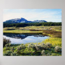 Search for mountain peaks posters Forest