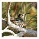Search for anna art Bird