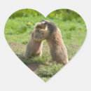 Search for marmot stickers Rodent