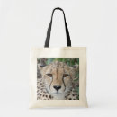 Recherche de afrique sacs Chat