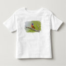 Search for buntings tshirts Bird