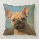 Search for french bulldog puppy pillows Cute