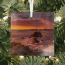 Search for monterey california ornaments Landscape