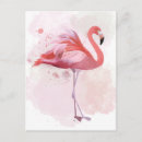 Search for fluffy postcards Watercolor