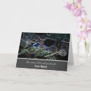 Recherche de argent liquide cartes postales Drôle