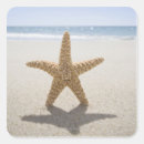 Search for massachusetts stickers Outdoors