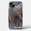 Search for squirrel pictures cases Animals