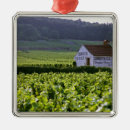 Search for grapevine ornaments Burgundy